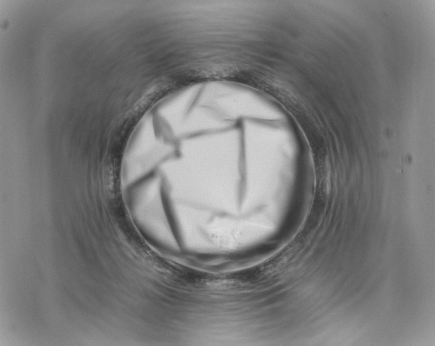 X0000075360268200609291508