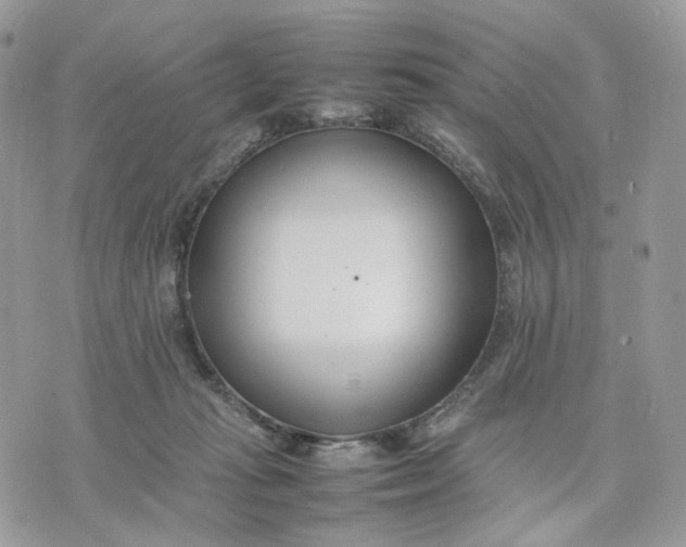 X0000075360269200609291508