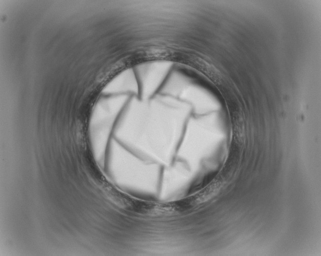 X0000075360270200609291508