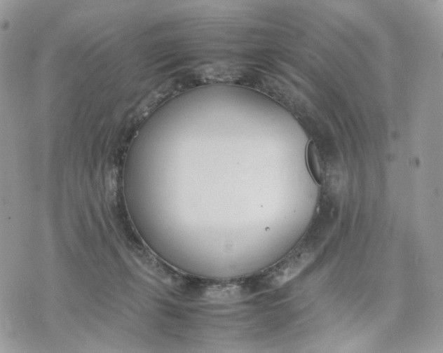 X0000075360271200609291508