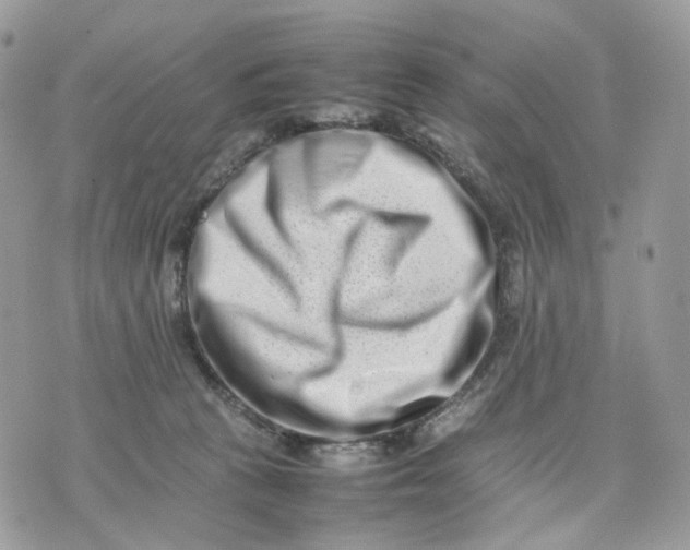 X0000075360273200609291508