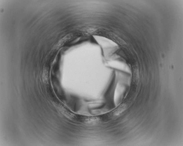 X0000075360274200609291508