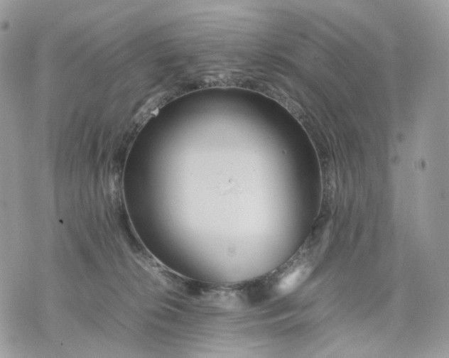 X0000075360276200609291508