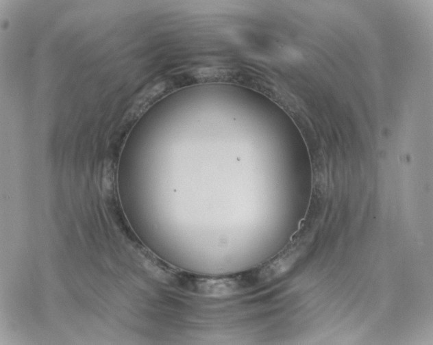 X0000075360277200609291508