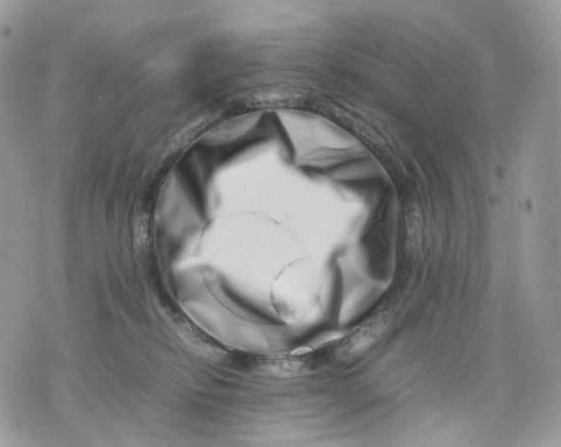 X0000075360278200609291508