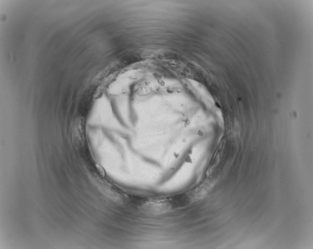 X0000075360280200609291508