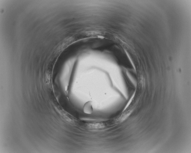 X0000075360281200609291508