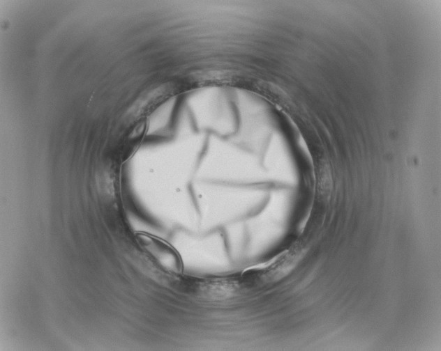 X0000075360282200609291508