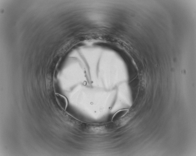 X0000075360283200609291508