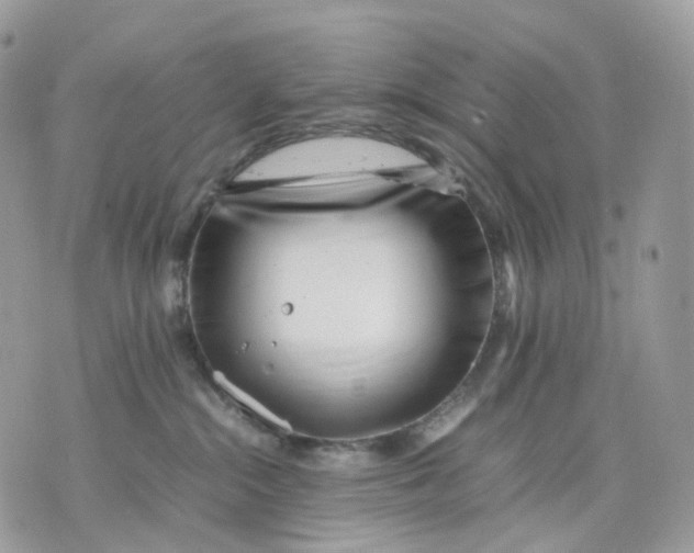 X0000075360284200609291508