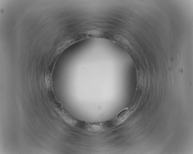 X0000075360285200609291508