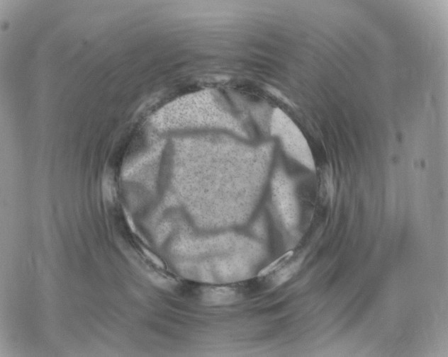 X0000075360287200609291508