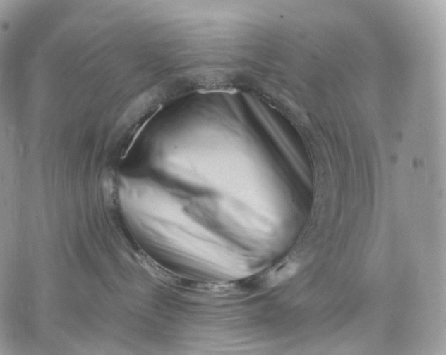 X0000075360288200609291508