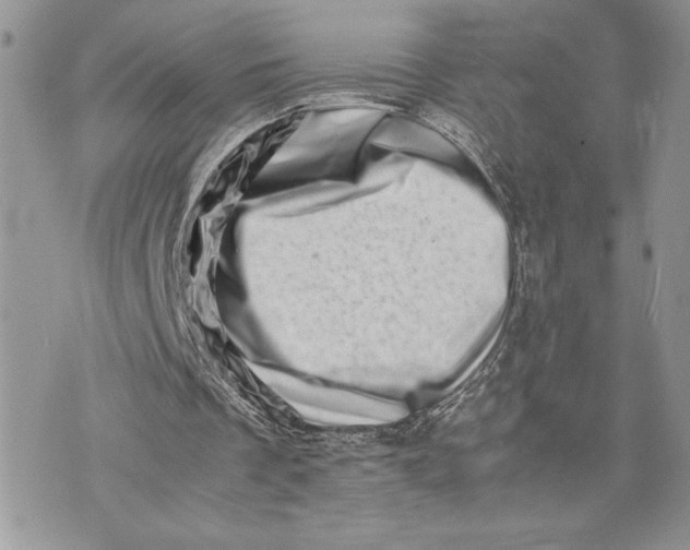 X0000075360289200609291508