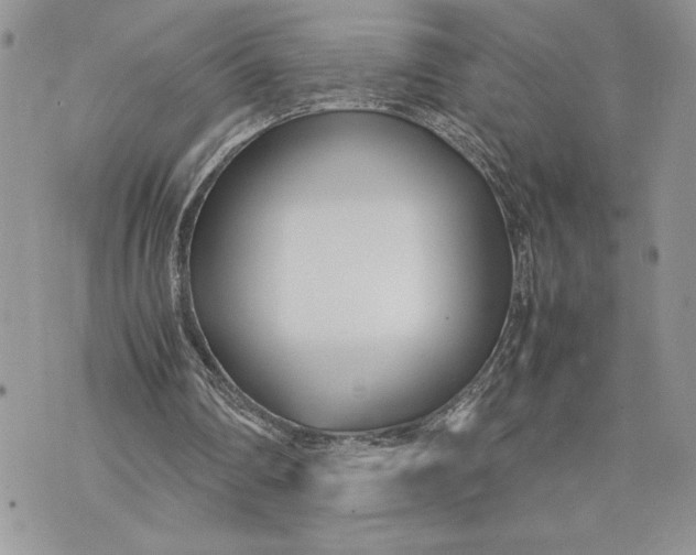 X0000075360290200609291508