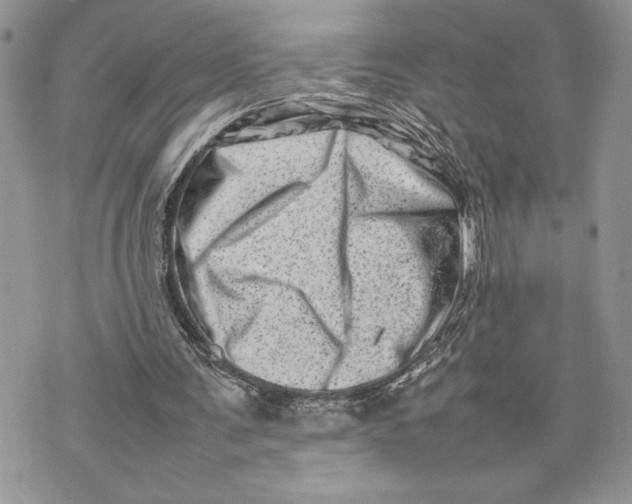 X0000075360291200609291508