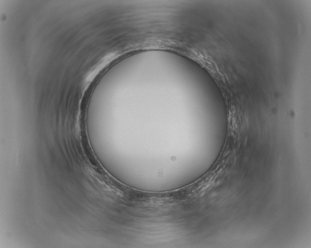 X0000075360292200609291508