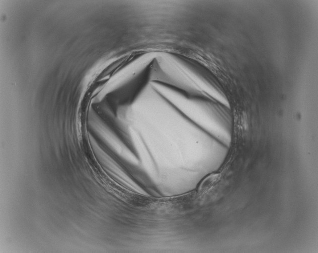 X0000075360294200609291508