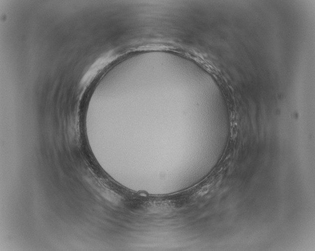 X0000075360296200609291508