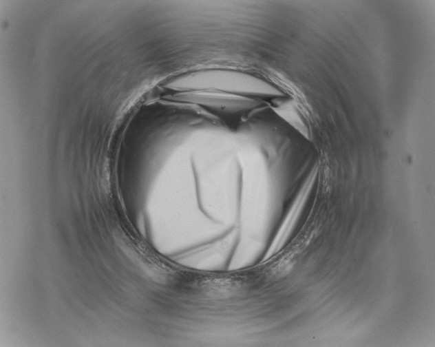 X0000075360298200609291508