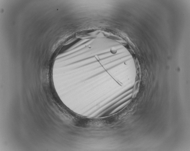 X0000075360299200609291508