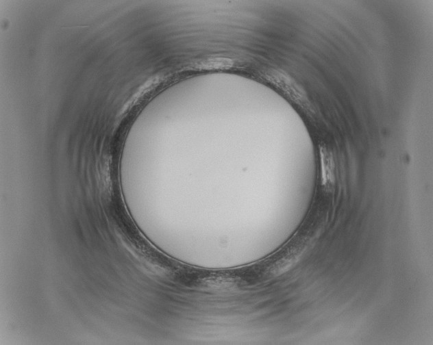 X0000075360300200609291507