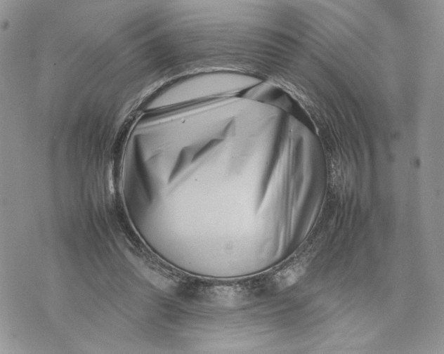 X0000075360302200609291507