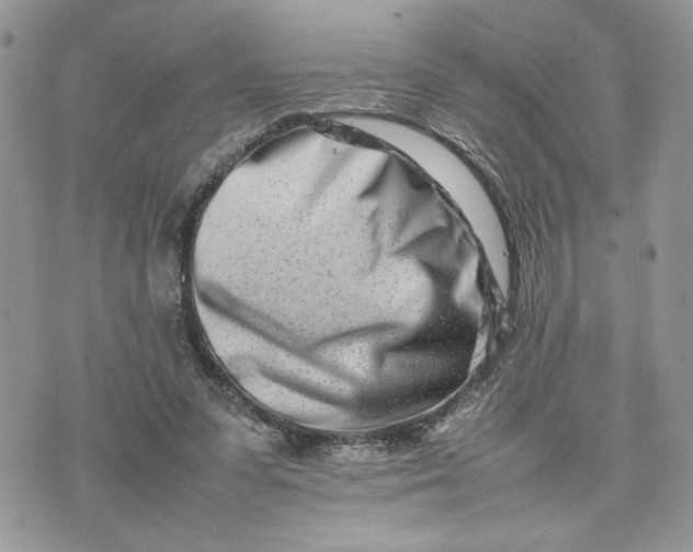 X0000075360303200609291507