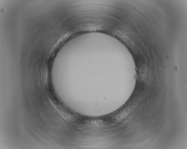 X0000075360304200609291507