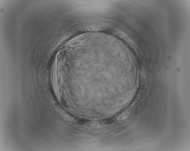 X0000075360305200609291507