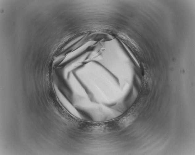 X0000075360306200609291507