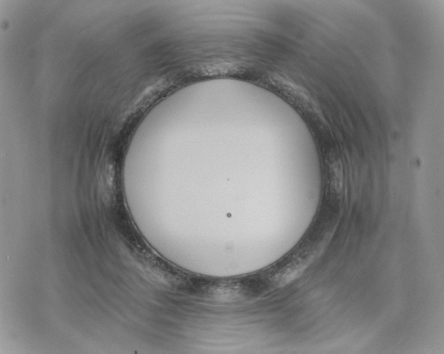 X0000075360308200609291507