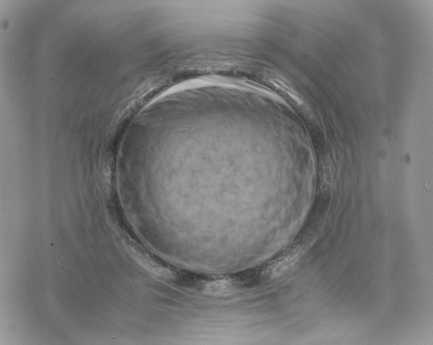 X0000075360309200609291507