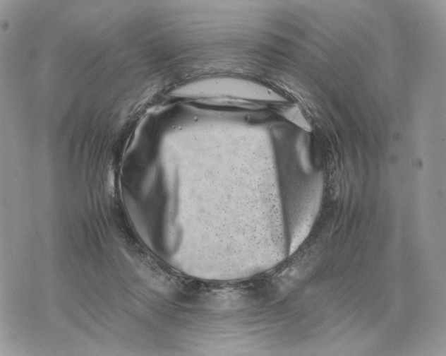 X0000075360310200609291507