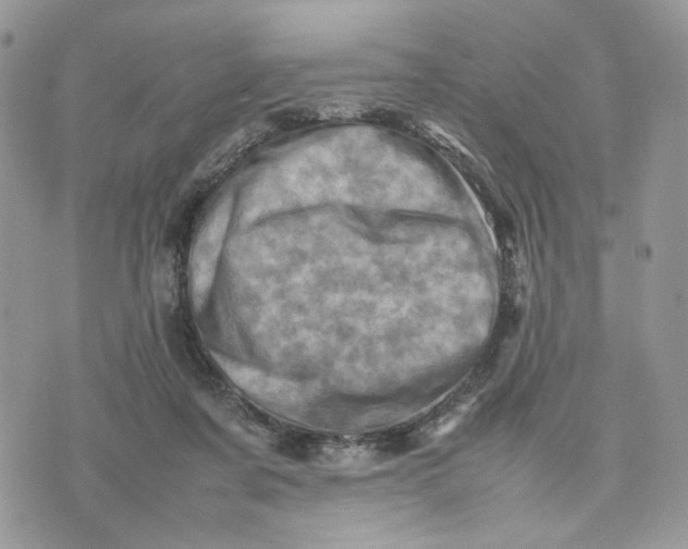 X0000075360311200609291507