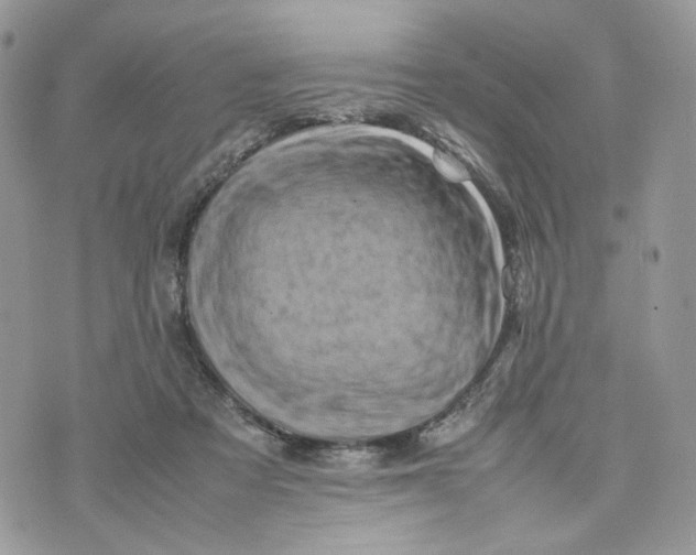 X0000075360313200609291507