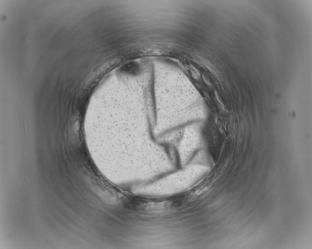 X0000075360314200609291507