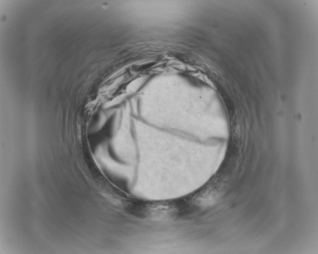 X0000075360315200609291507