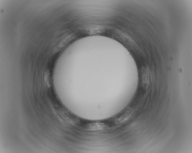 X0000075360316200609291507