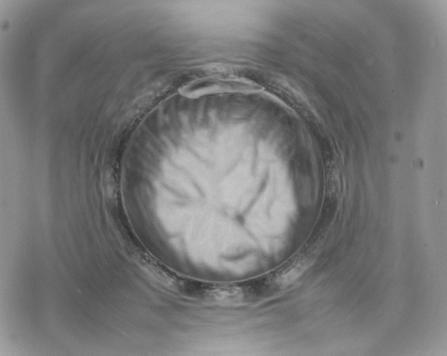 X0000075360317200609291507