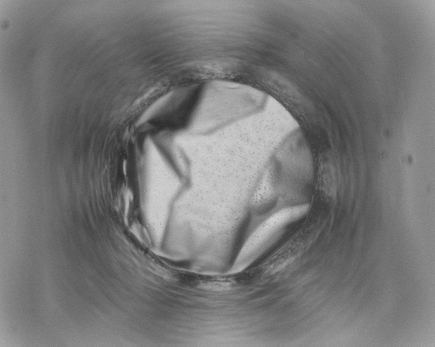 X0000075360318200609291507