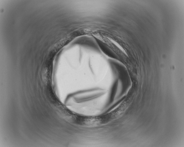 X0000075360319200609291507