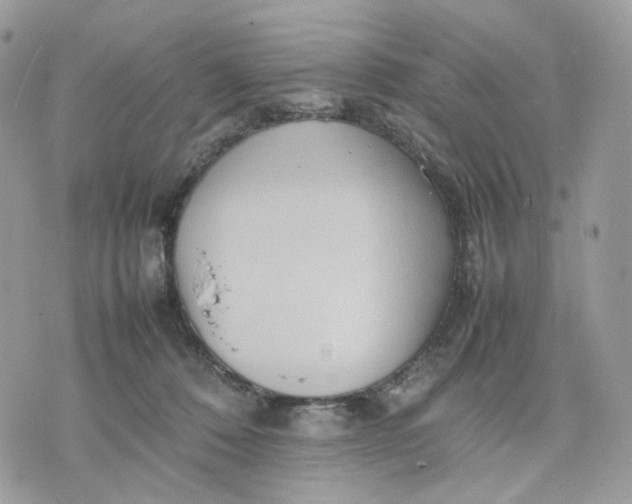 X0000075360320200609291507