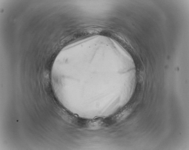 X0000075360321200609291507