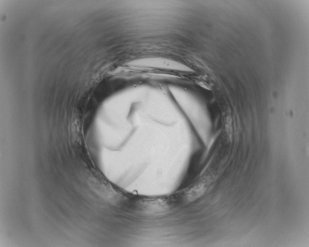 X0000075360322200609291507