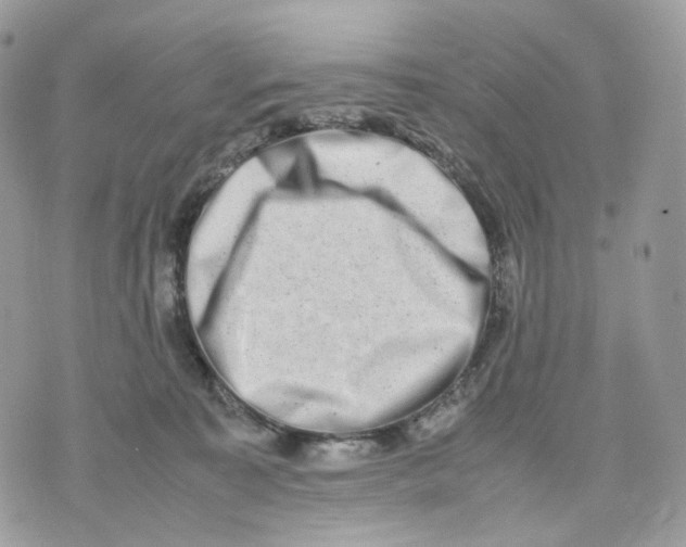 X0000075360323200609291507