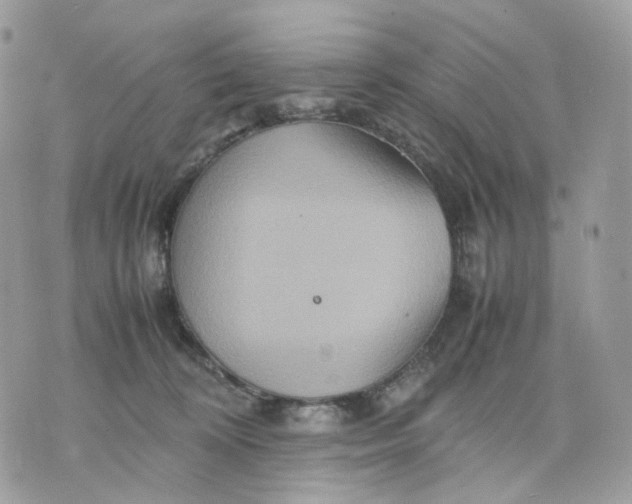 X0000075360324200609291507