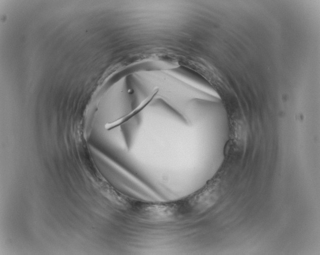 X0000075360326200609291507