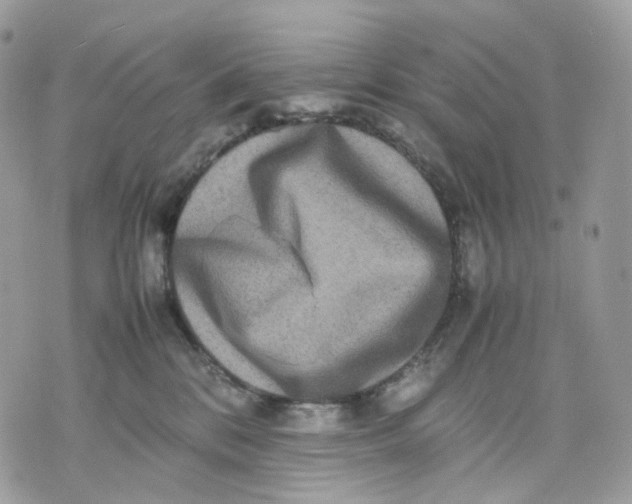 X0000075360328200609291507