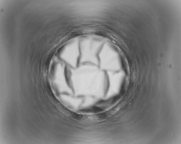 X0000075360329200609291507